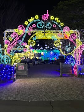 伊豆ぐらんぱる公園に投稿された画像（2024/3/16）