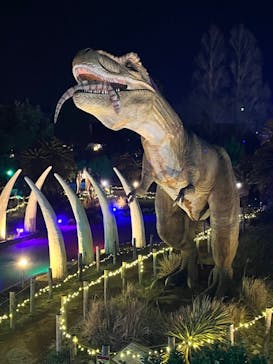 伊豆ぐらんぱる公園に投稿された画像（2024/3/16）