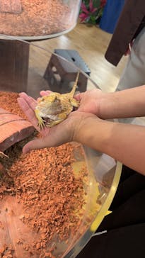 NARA IKIMONO MUSEUMに投稿された画像（2024/3/16）