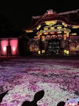 NAKED meets 二条城 2025 観月に投稿された画像（2024/3/16）