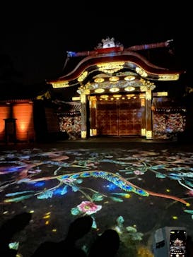 NAKED meets 二条城 2025 観月に投稿された画像（2024/3/16）