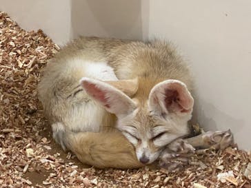 アニタッチみなとみらいに投稿された画像（2024/3/16）