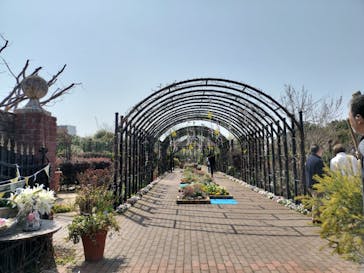 横浜イングリッシュガーデンに投稿された画像（2024/3/16）