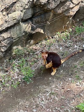 よこはま動物園ズーラシアに投稿された画像（2024/3/16）