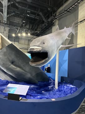 特別展「海　―生命のみなもと―」名古屋市科学館に投稿された画像（2024/3/16）