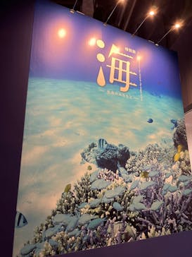 特別展「海　―生命のみなもと―」名古屋市科学館に投稿された画像（2024/3/16）