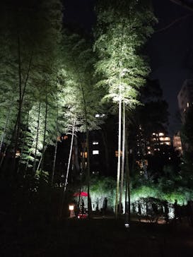 六義園に投稿された画像（2024/3/16）