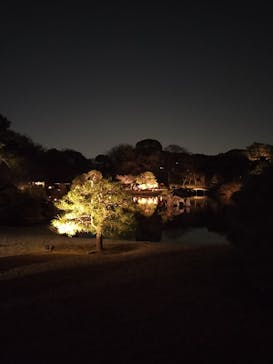 六義園に投稿された画像（2024/3/16）