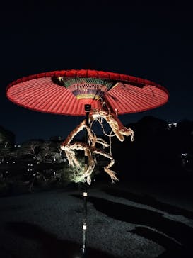 六義園に投稿された画像（2024/3/16）