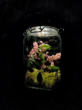 六義園に投稿された画像（2024/3/16）