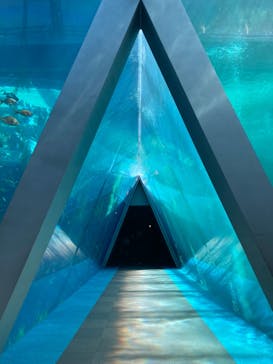 環境水族館アクアマリンふくしまに投稿された画像（2024/3/16）