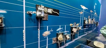 特別展「海　―生命のみなもと―」名古屋市科学館に投稿された画像（2024/3/16）