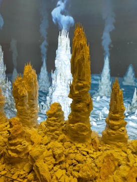 特別展「海　―生命のみなもと―」名古屋市科学館に投稿された画像（2024/3/16）