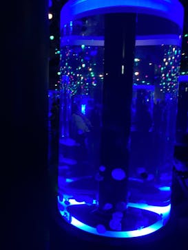 マクセル アクアパーク品川に投稿された画像（2024/3/16）