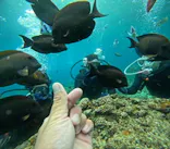 沖縄マリンサービス碧に投稿された画像（2024/3/17）