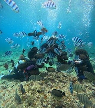 沖縄マリンサービス碧に投稿された画像（2024/3/17）