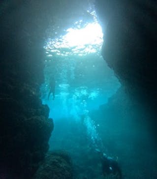 沖縄マリンサービス碧に投稿された画像（2024/3/17）