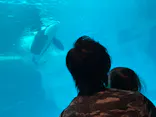 名古屋港水族館に投稿された画像（2024/3/17）
