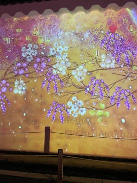 NAKED meets 二条城 2025 観月に投稿された画像（2024/3/17）