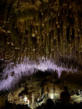 おきなわワールドに投稿された画像（2024/3/17）