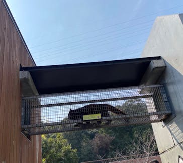 到津の森公園に投稿された画像（2024/3/17）