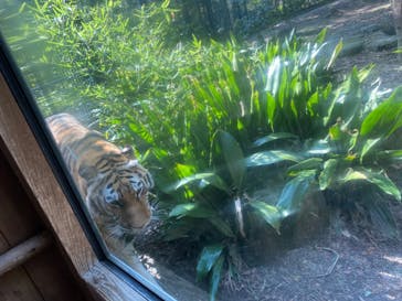 到津の森公園に投稿された画像（2024/3/17）