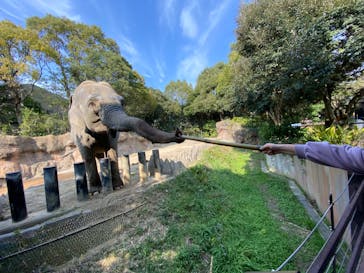 到津の森公園に投稿された画像（2024/3/17）