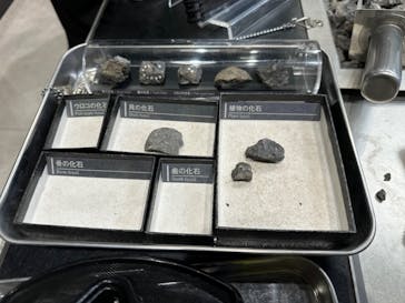 福井県立恐竜博物館に投稿された画像（2024/3/17）