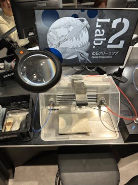 福井県立恐竜博物館に投稿された画像（2024/3/17）