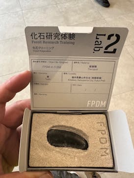 福井県立恐竜博物館に投稿された画像（2024/3/17）