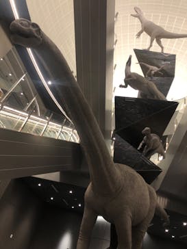 福井県立恐竜博物館に投稿された画像（2024/3/17）