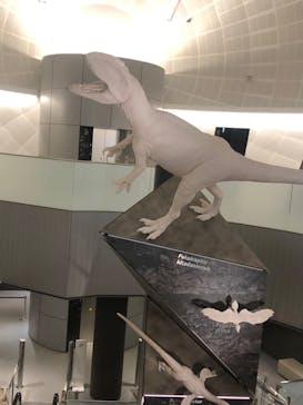 福井県立恐竜博物館に投稿された画像（2024/3/17）