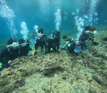 沖縄マリンサービス碧に投稿された画像（2024/3/17）