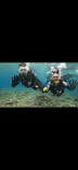 武藤潜水に投稿された画像（2024/3/17）