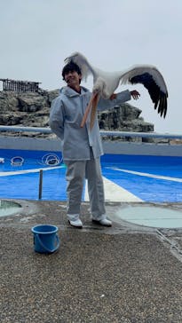 大分マリーンパレス水族館 「うみたまご」に投稿された画像（2024/3/17）