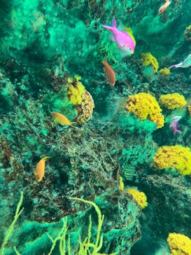 環境水族館アクアマリンふくしまに投稿された画像（2024/3/17）