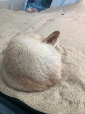 環境水族館アクアマリンふくしまに投稿された画像（2024/3/17）