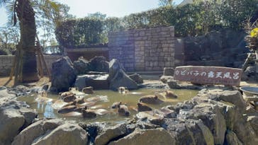伊豆シャボテン動物公園に投稿された画像（2024/3/17）