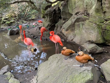 伊豆シャボテン動物公園に投稿された画像（2024/3/17）