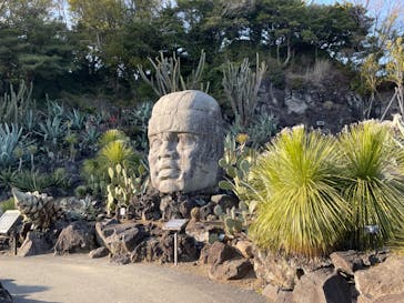 伊豆シャボテン動物公園に投稿された画像（2024/3/17）