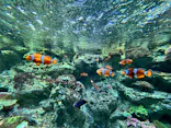 サンシャイン水族館に投稿された画像（2024/3/17）