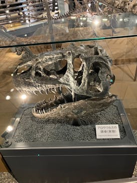 福井県立恐竜博物館に投稿された画像（2024/3/17）