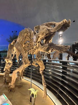 福井県立恐竜博物館に投稿された画像（2024/3/17）