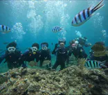 武藤潜水に投稿された画像（2024/3/17）