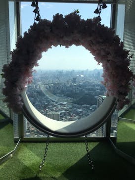 サンシャイン60展望台に投稿された画像（2024/3/17）