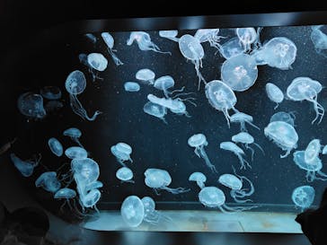 AOAO SAPPOROに投稿された画像（2024/3/17）