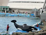 名古屋港水族館に投稿された画像（2024/3/17）