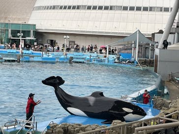 名古屋港水族館に投稿された画像（2024/3/17）