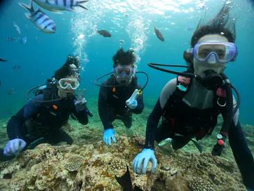 武藤潜水に投稿された画像（2024/3/17）