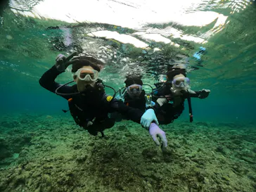 武藤潜水に投稿された画像（2024/3/17）